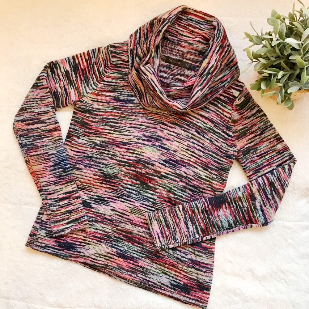 Space-dye cowl neck sweater